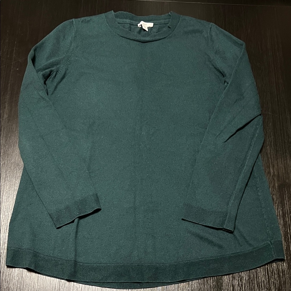 J Jill Green Crew Long Sleeve Sweater